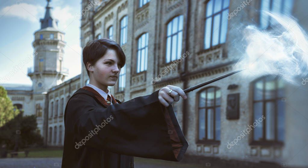 Cofanetto DVD usato con la collezione completa di Harry Potter